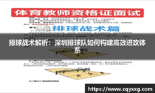 排球战术解析：深圳排球队如何构建高效进攻体系