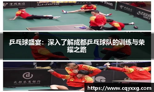乒乓球盛宴：深入了解成都乒乓球队的训练与荣耀之路