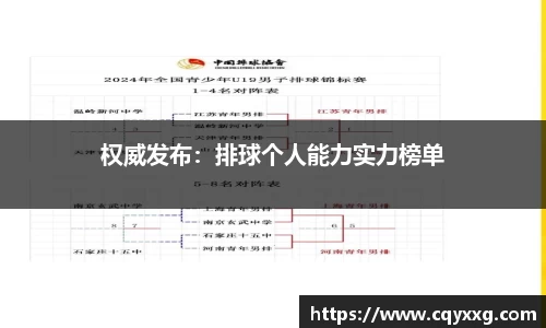 权威发布：排球个人能力实力榜单