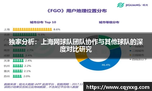 独家分析：上海网球队团队协作与其他球队的深度对比研究