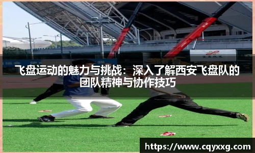 飞盘运动的魅力与挑战：深入了解西安飞盘队的团队精神与协作技巧