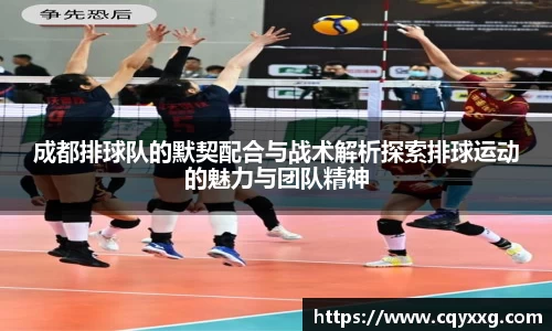 成都排球队的默契配合与战术解析探索排球运动的魅力与团队精神