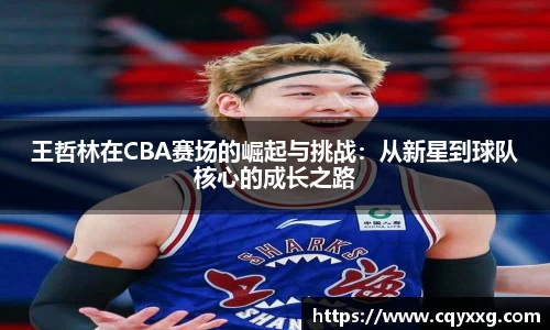 王哲林在CBA赛场的崛起与挑战：从新星到球队核心的成长之路